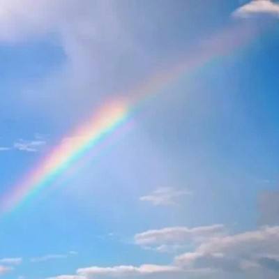 烟雨江湖梦破解版下载