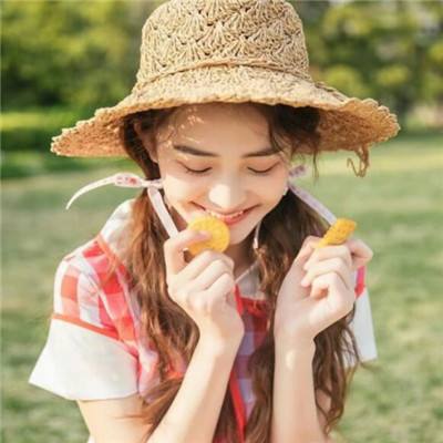 足球经理2021汉化版下载